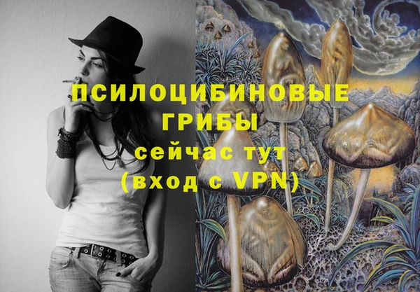 эйфоретик Алзамай
