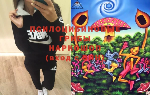 эйфоретик Алзамай