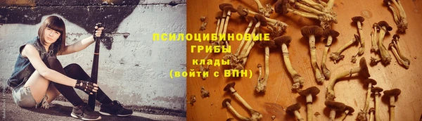 спайс Алексин