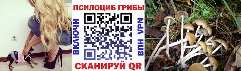 Галлюциногенные грибы прущие грибы Дмитриев