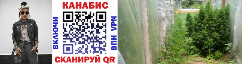 МЕГА ссылки  Дмитриев  Каннабис MAZAR 